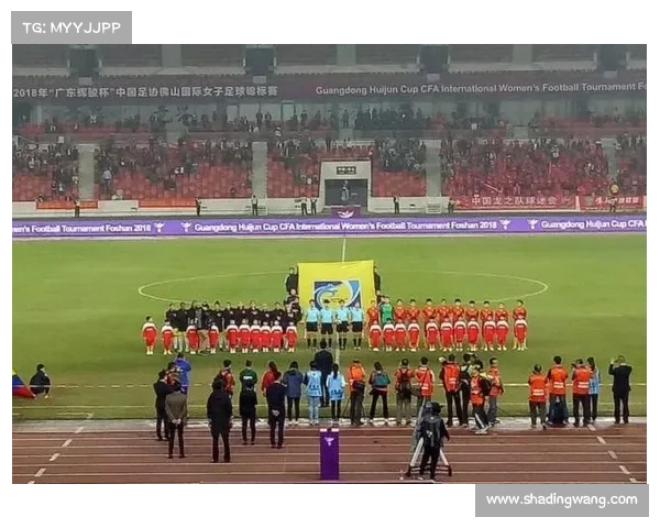 足球作日赛事关于足球赛事的作文