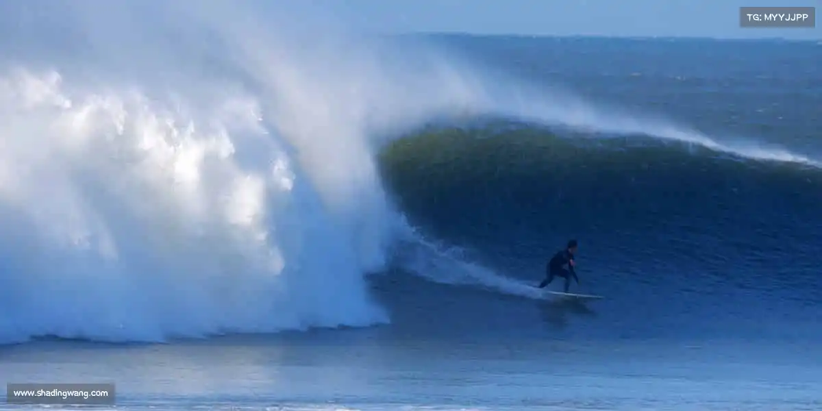 3200威尼斯vip——🚣‍♂️挑战浪潮，这里有你需要的所有 “武器”！​